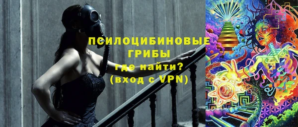 индика Алексеевка