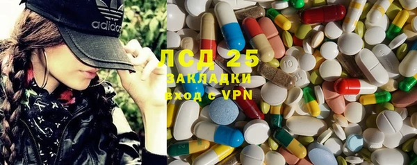 индика Алексеевка