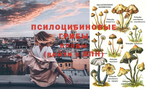 индика Алексеевка